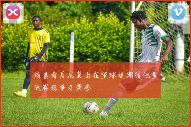 约基奇月底复出在望球迷期待他重返赛场争夺荣誉